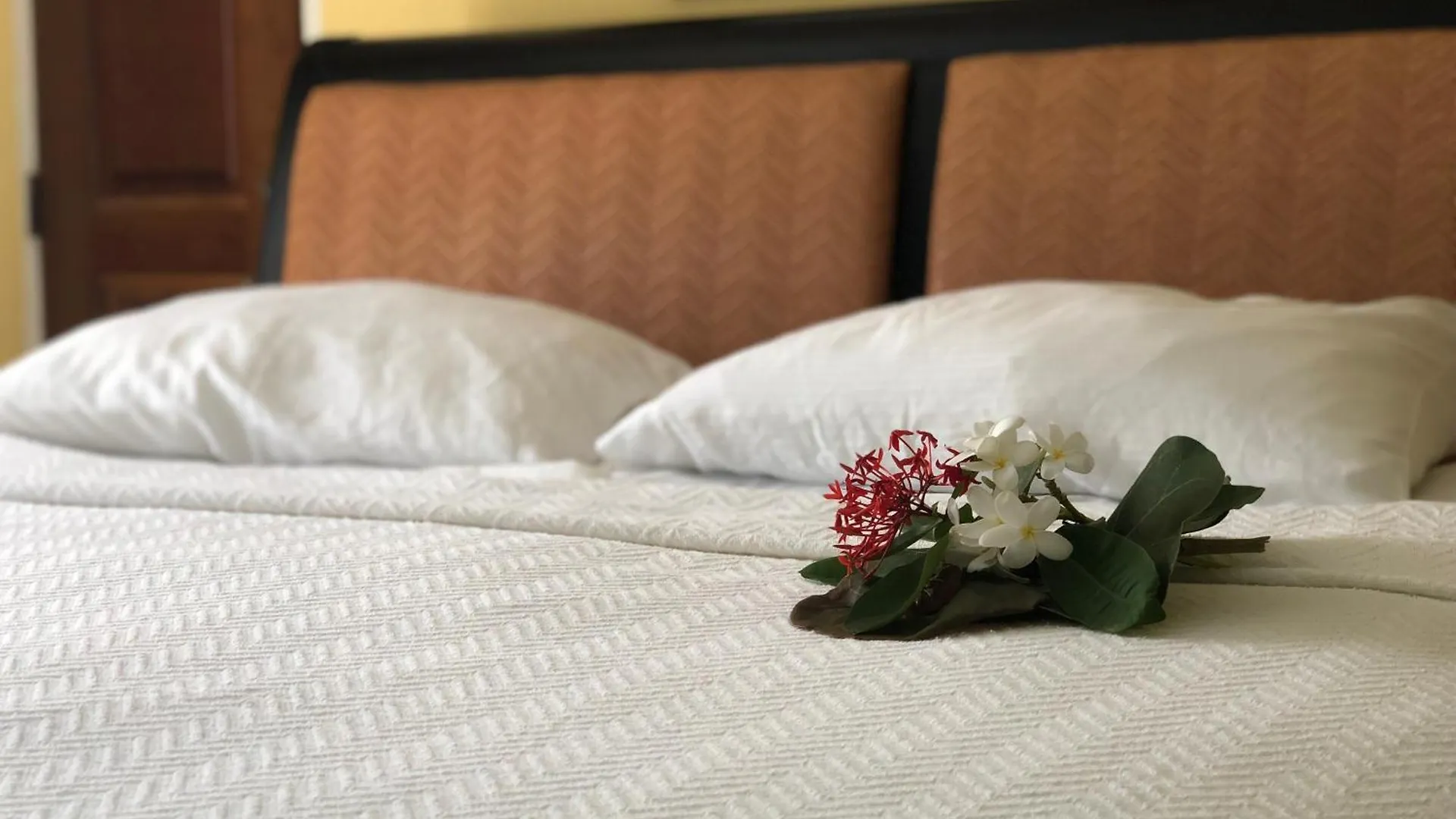 Club Comanche Hotel Christiansted